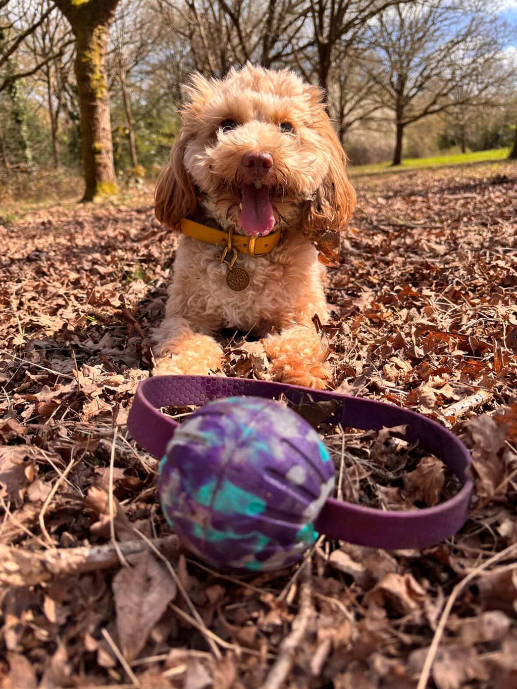 EVA Ball on Handle