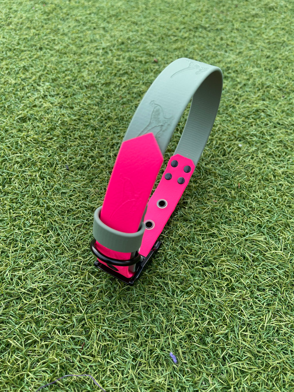 Create Your Own BioThane Stamped Collar