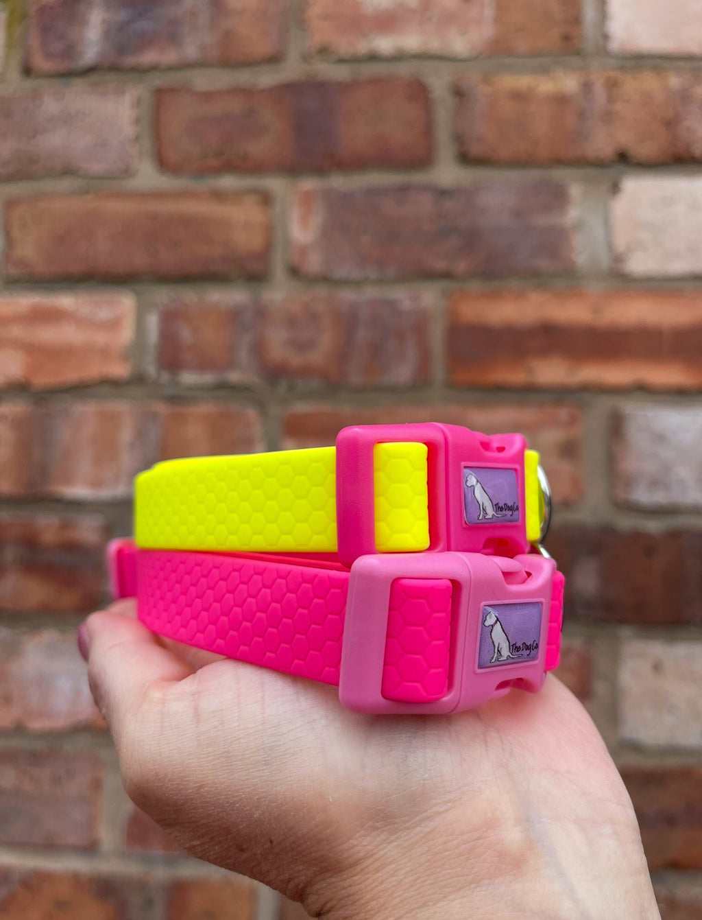 Create Your Own Hexa Clip Collar