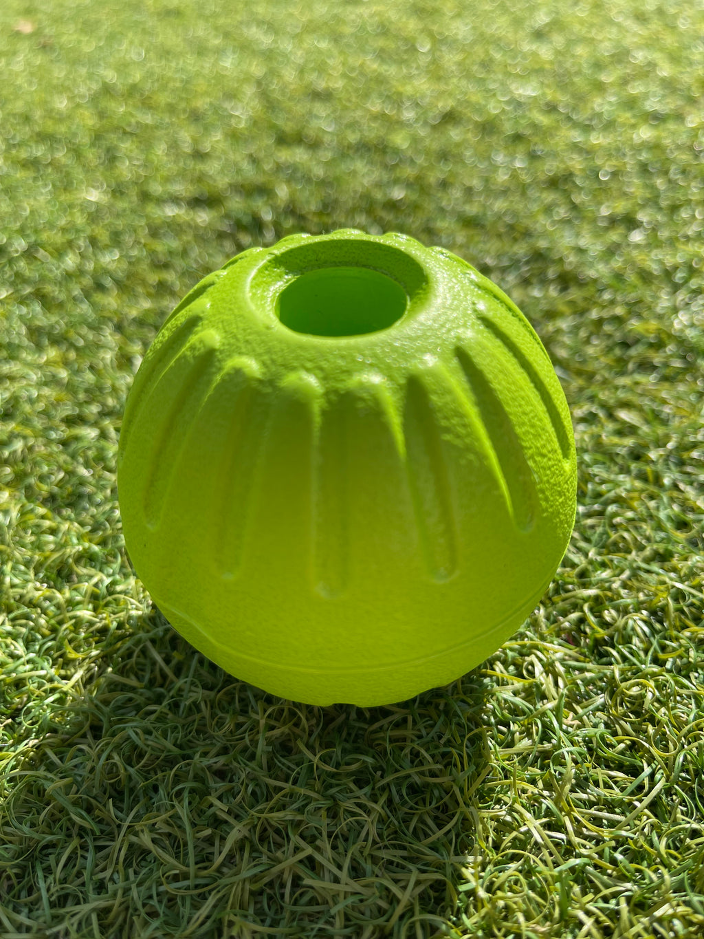 EVA Ball on Handle
