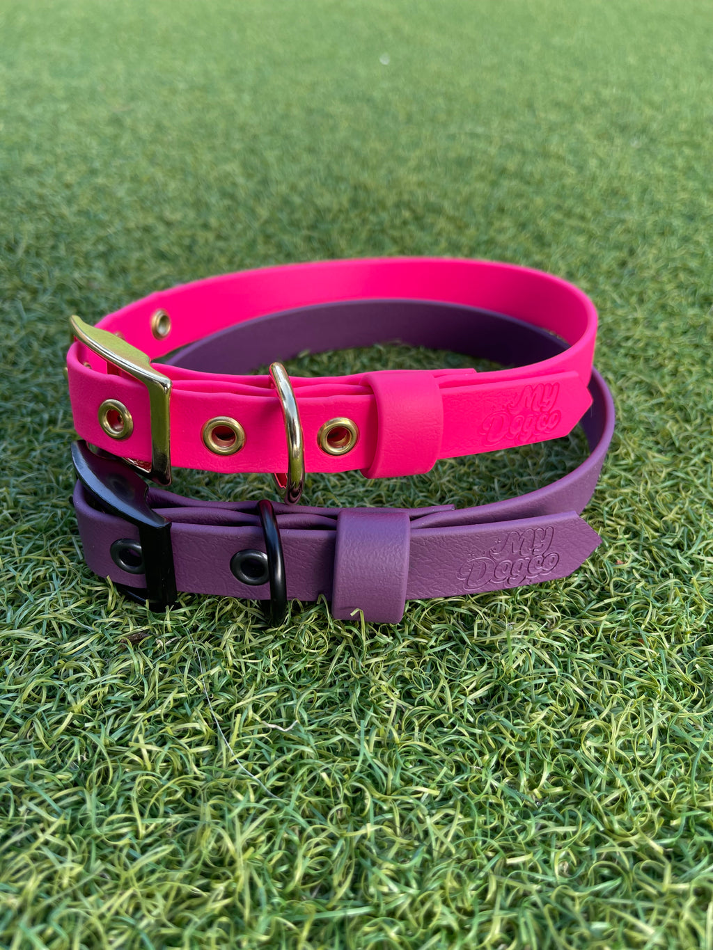 Create Your Own BioThane Collar