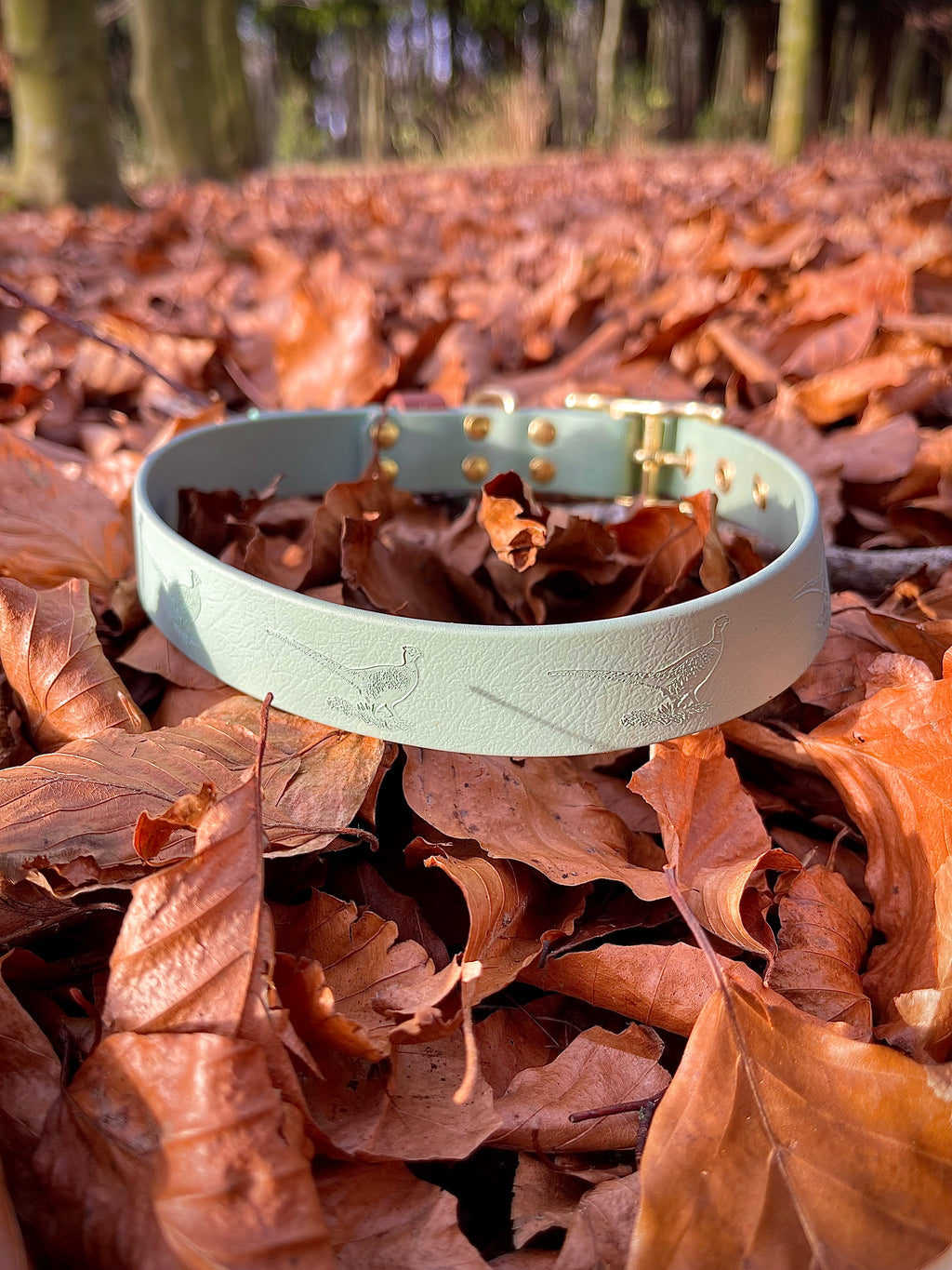 Create Your Own BioThane Stamped Collar