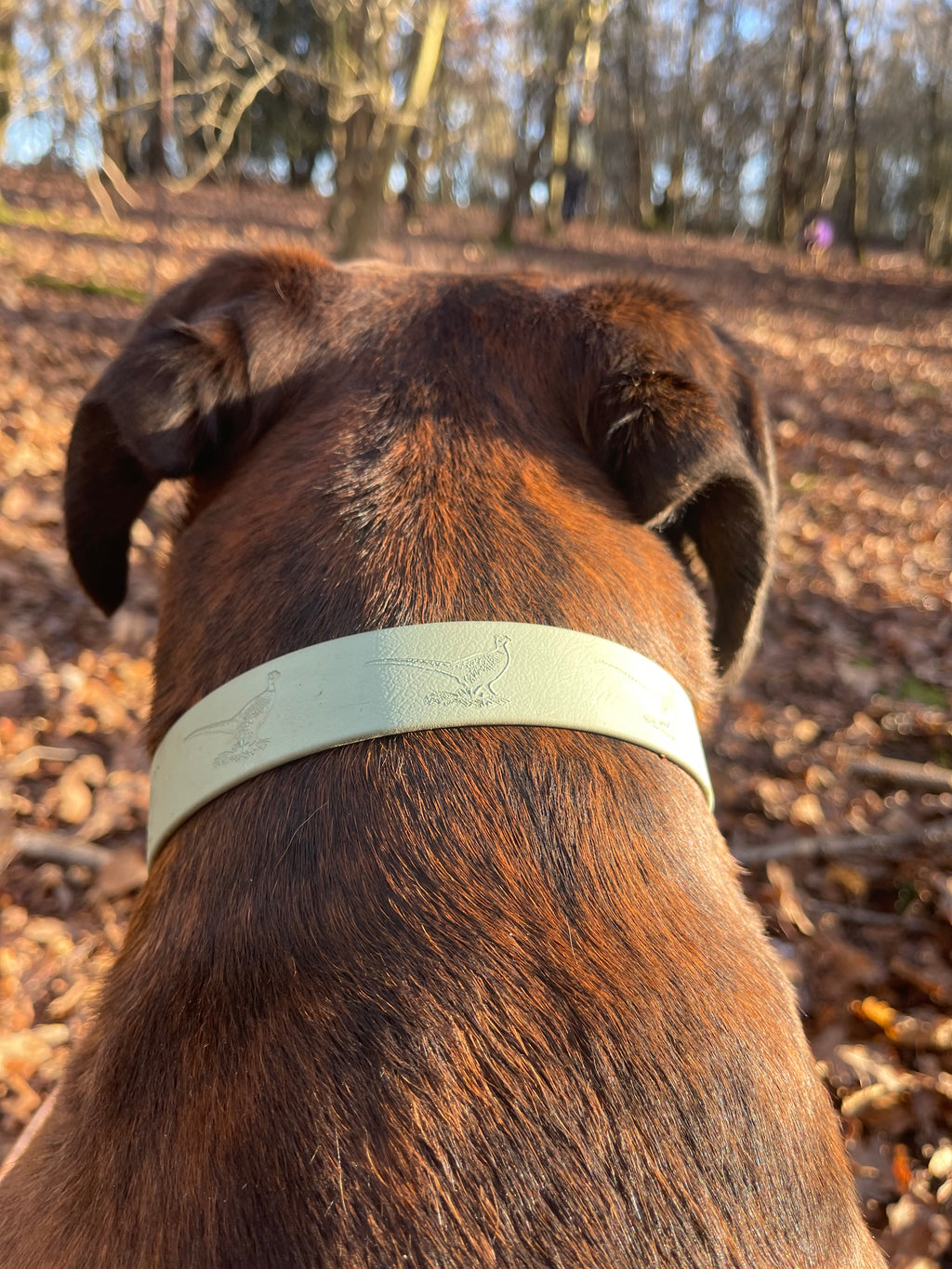 Create Your Own BioThane Stamped Collar