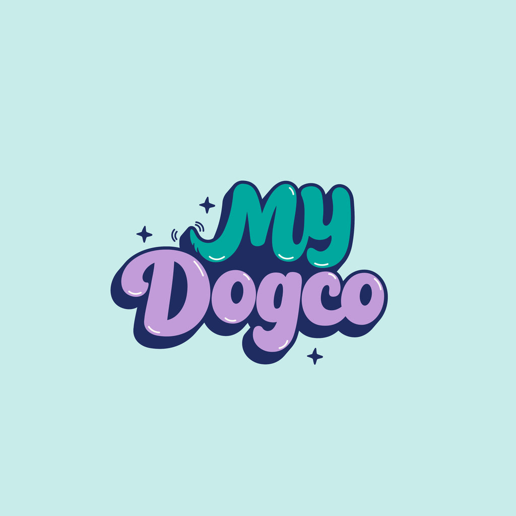 Gripper Lead – Non-Slip Polypropylene Dog Lead with Rubber Tracers