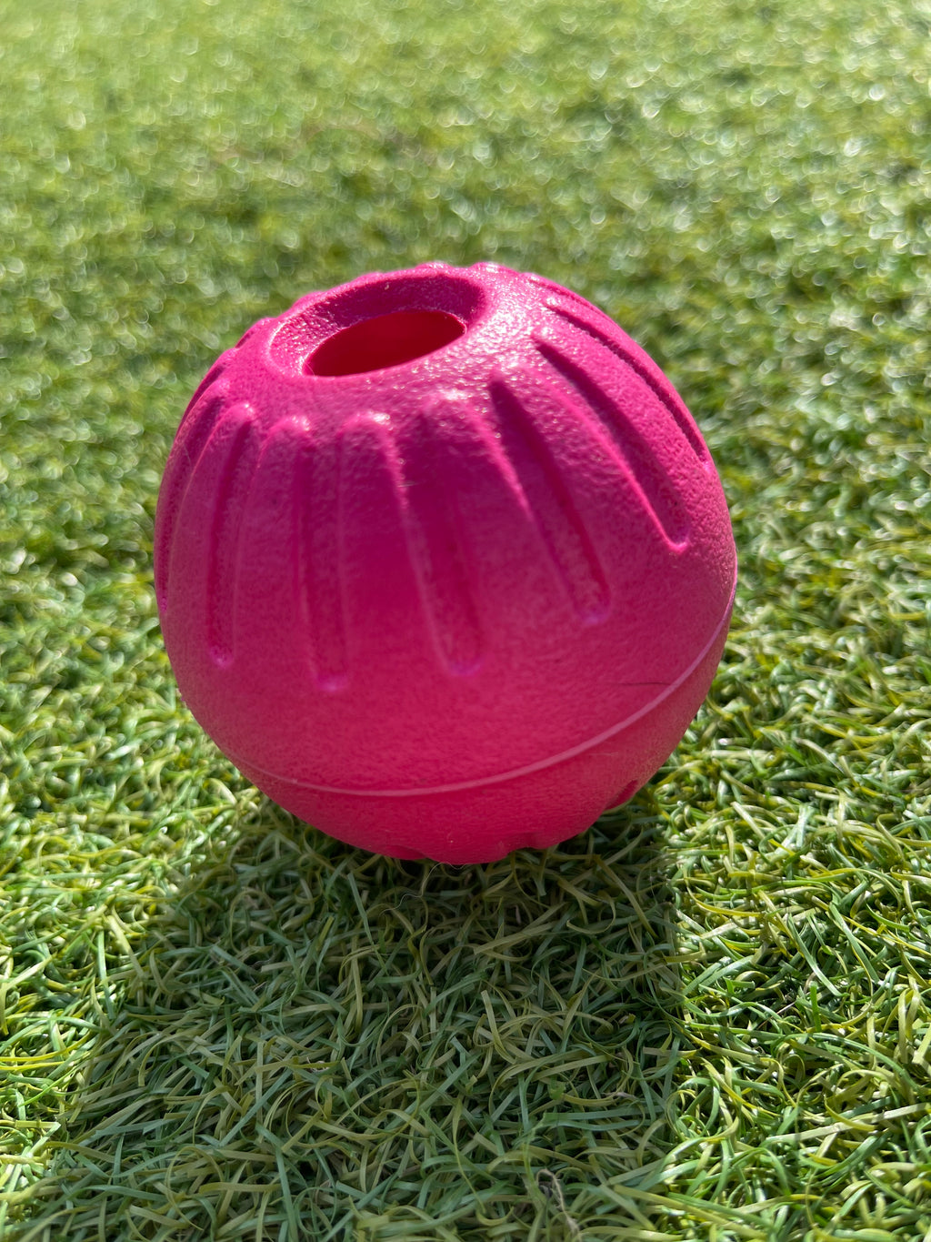 EVA Ball on Handle