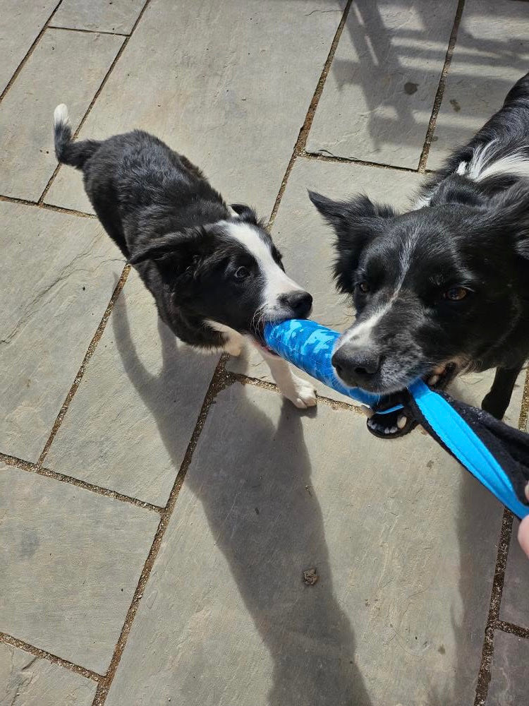 EVA Floating Dog Hamstick – Dog Training Dummy & Fetch Toy