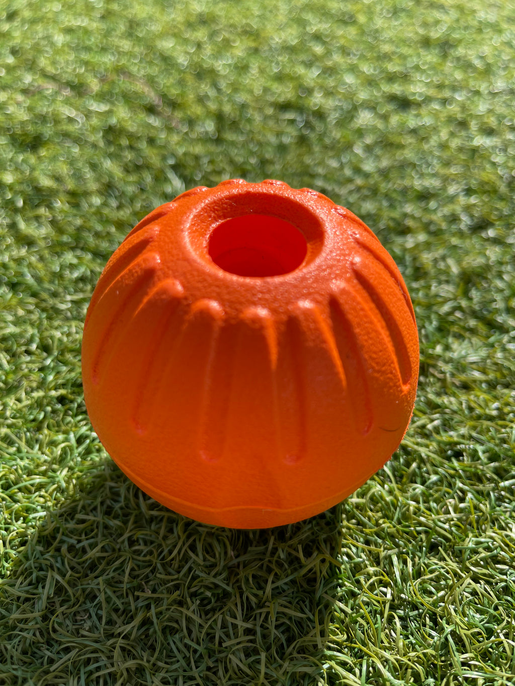 EVA Ball on Handle