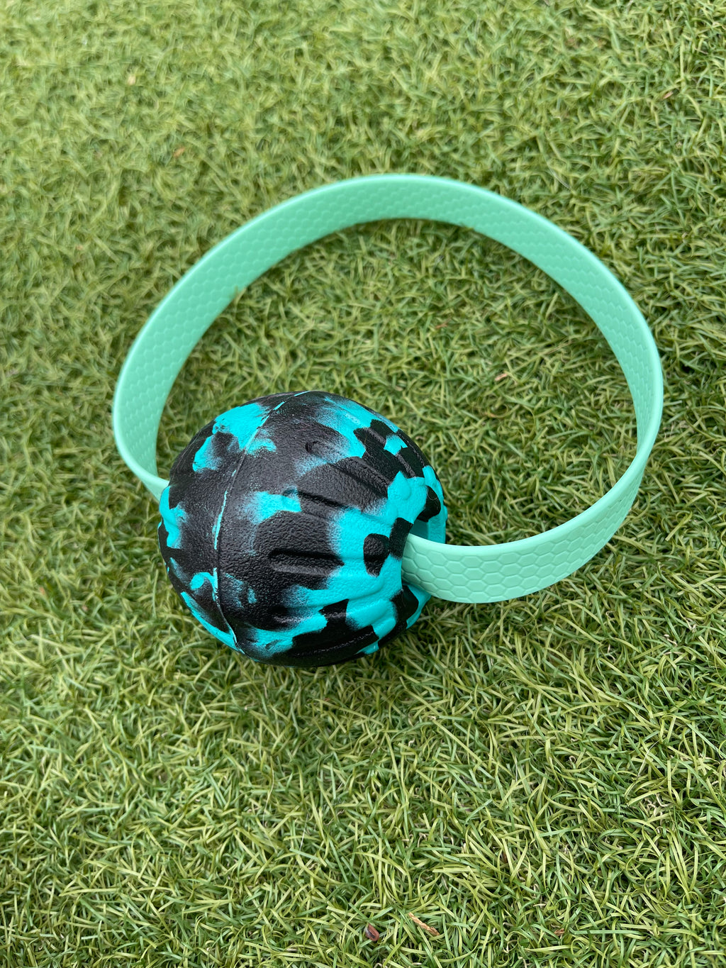 EVA Ball on Handle