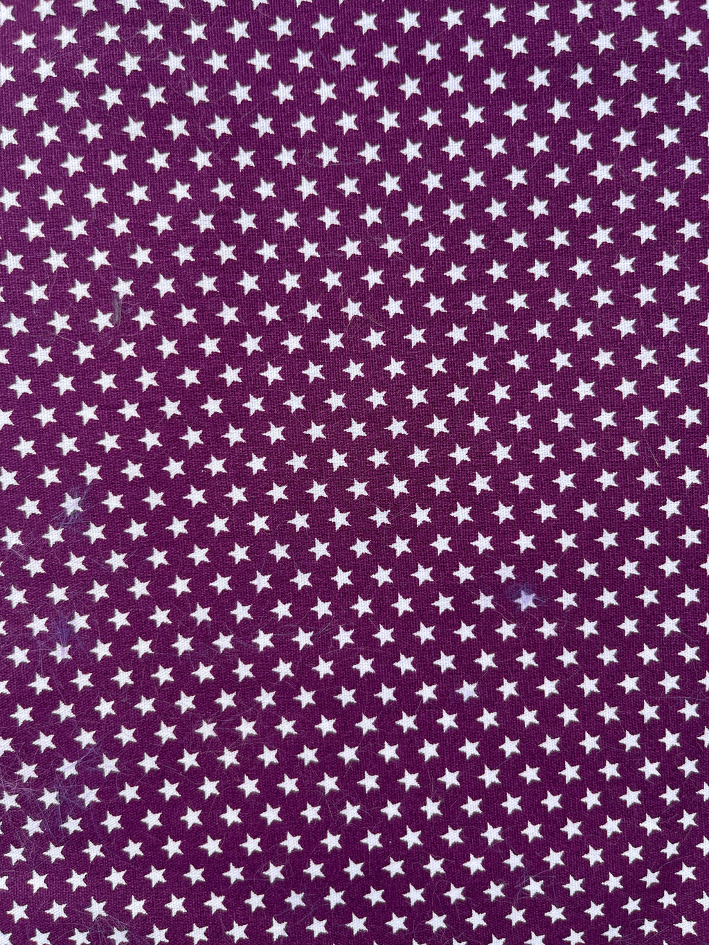 Fabric Dog Collar - All Sorts Collection