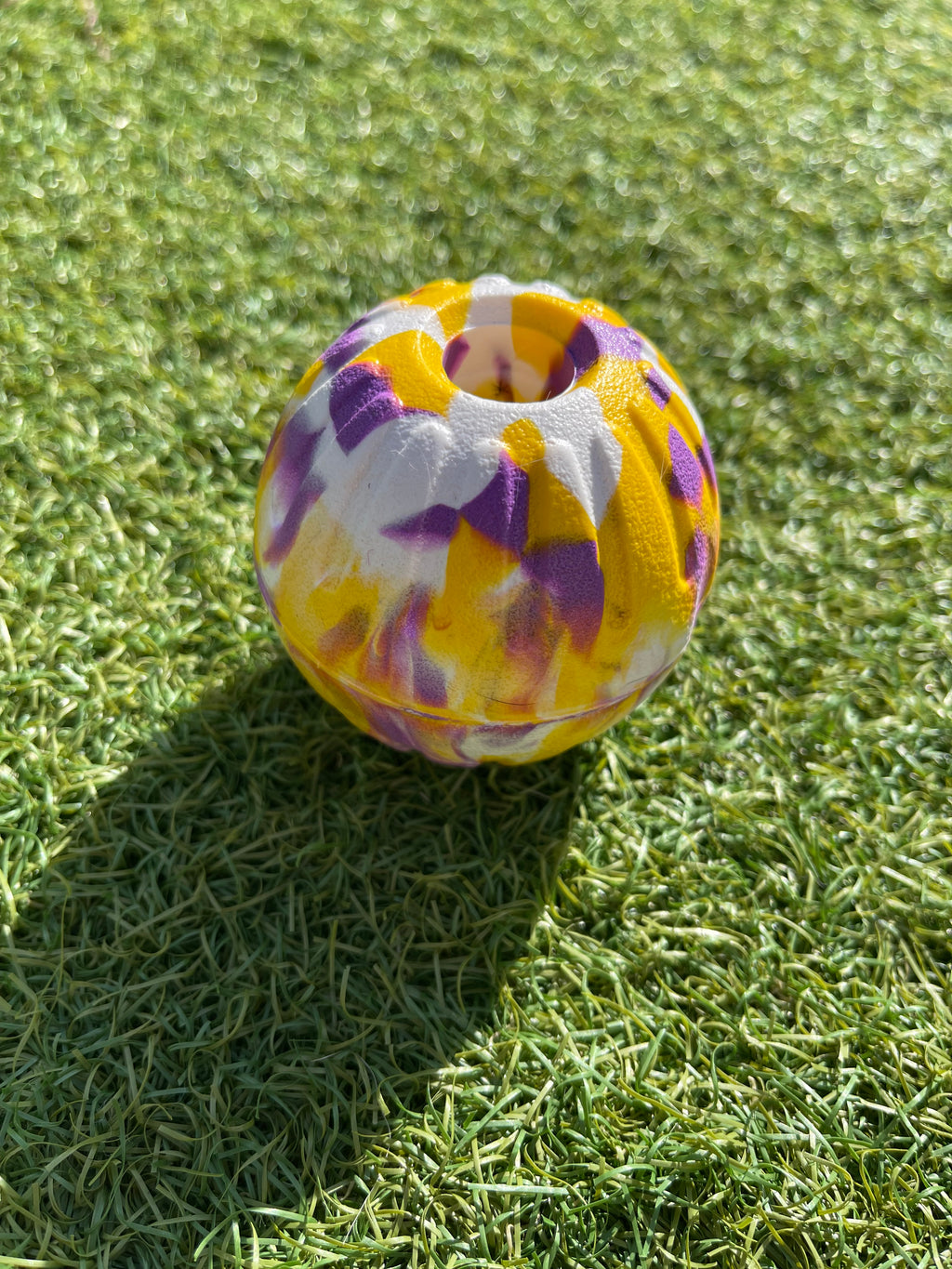 EVA Ball on Handle