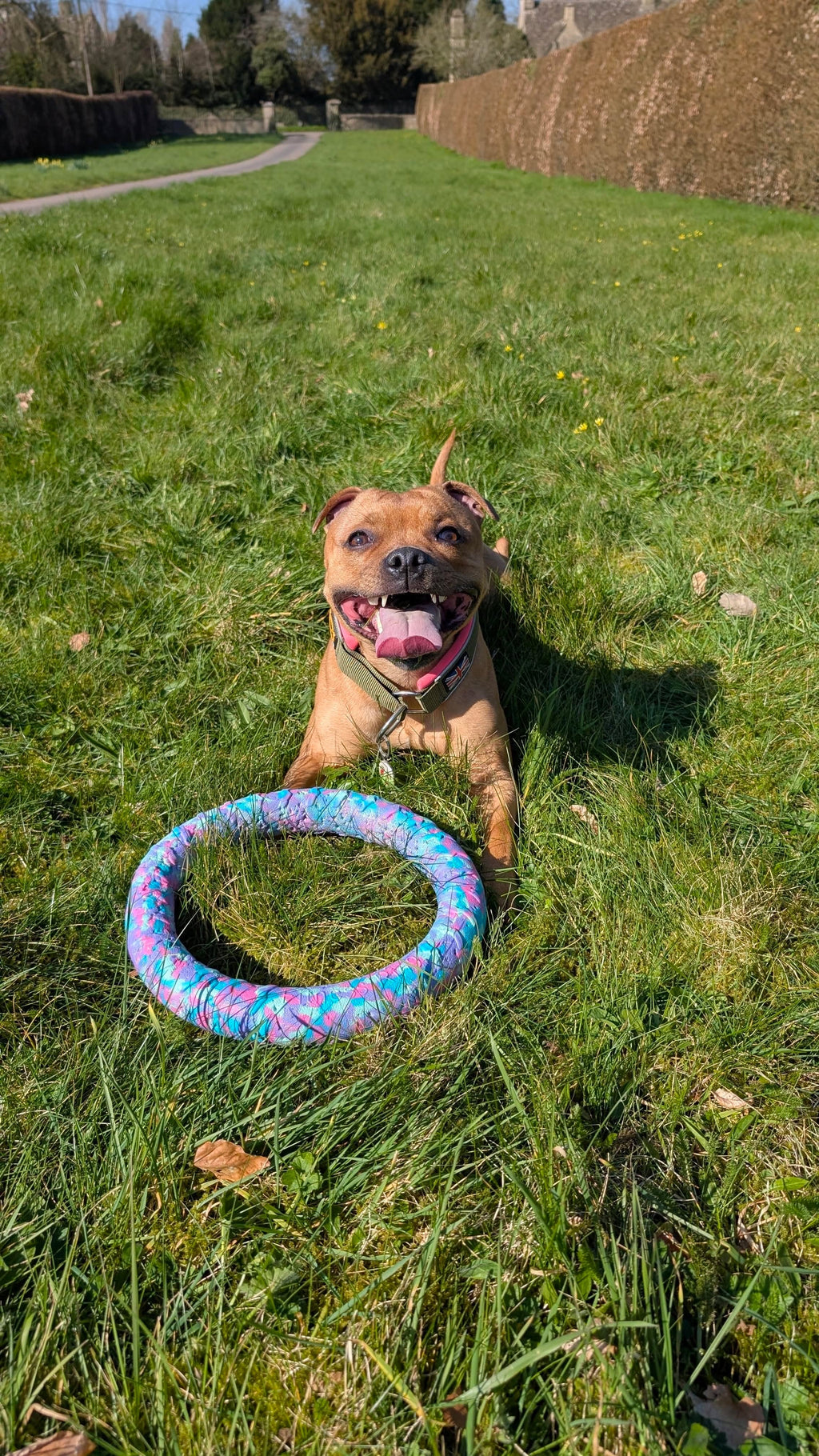 EVA Floating Dog Ring Toy – Soft Durable Dog Fetch Toy for Water & Outdoor Play