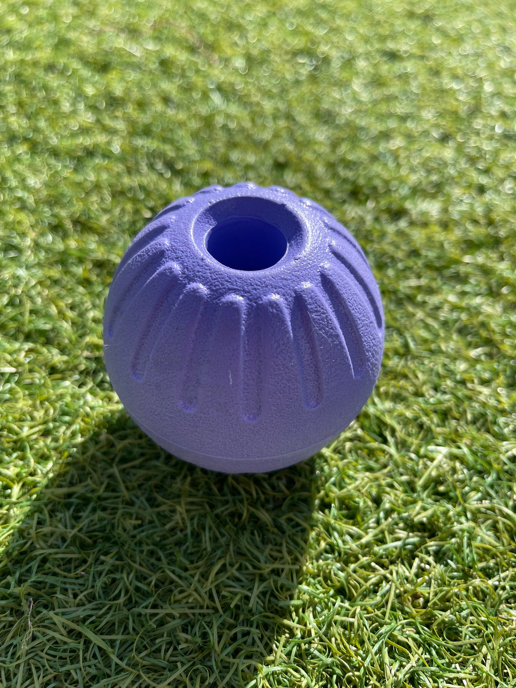 EVA Ball on Handle
