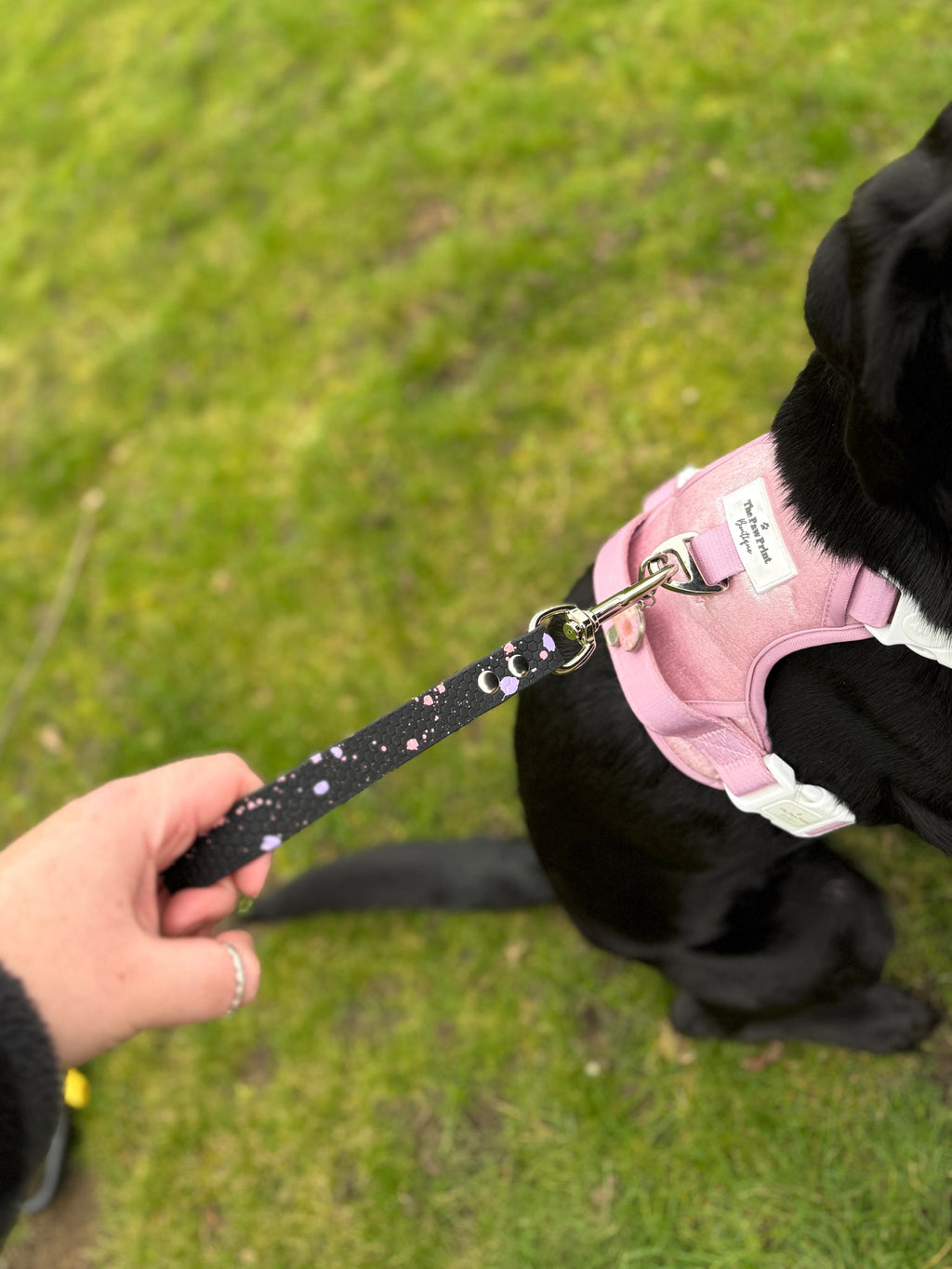 Dog Grab Handle / Traffic Handle – Waterproof Hexa, Biothane, Gripper or Fleece Lined