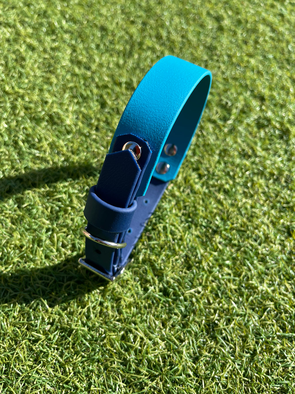 Create Your Own BioThane Collar