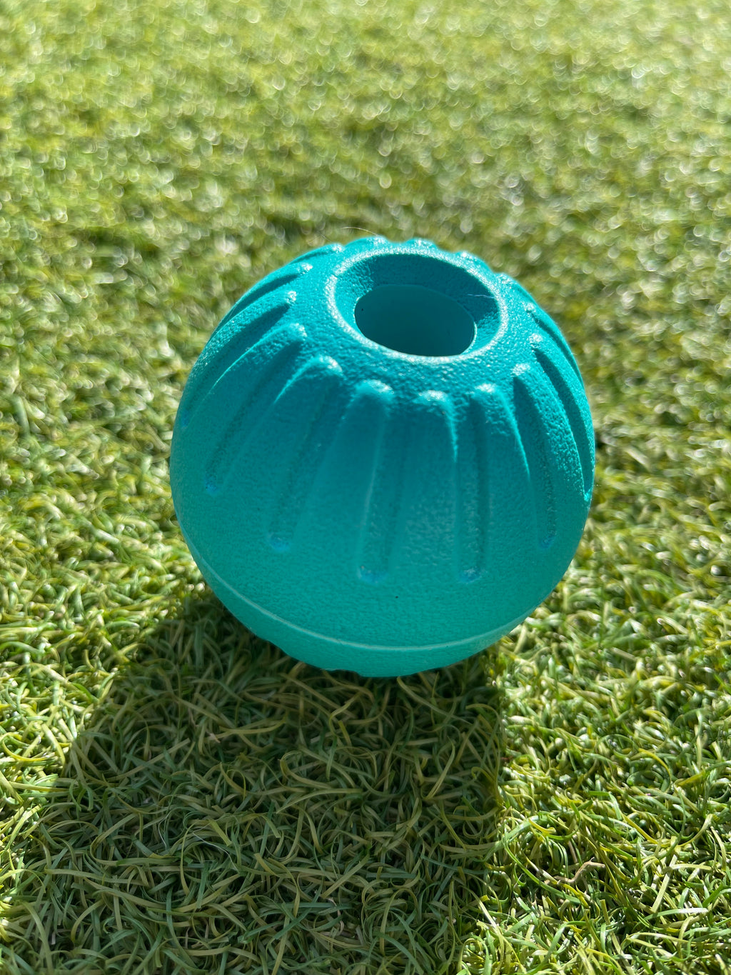 EVA Ball on Handle