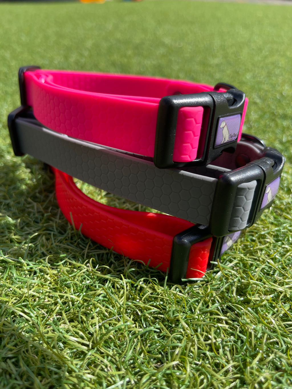 Create Your Own Hexa Clip Collar