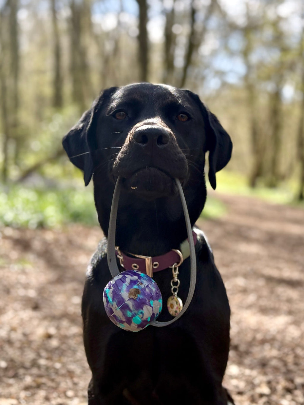 EVA Ball on Handle