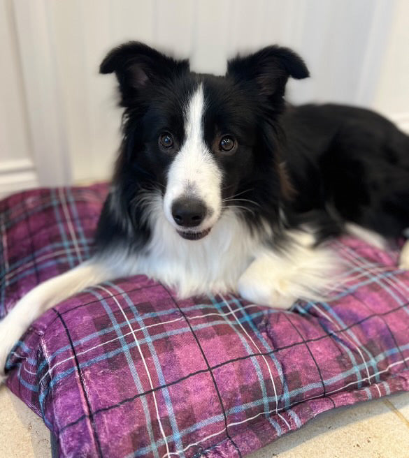 Doggy Duvet Cover - Patterned Cuddle Fleece