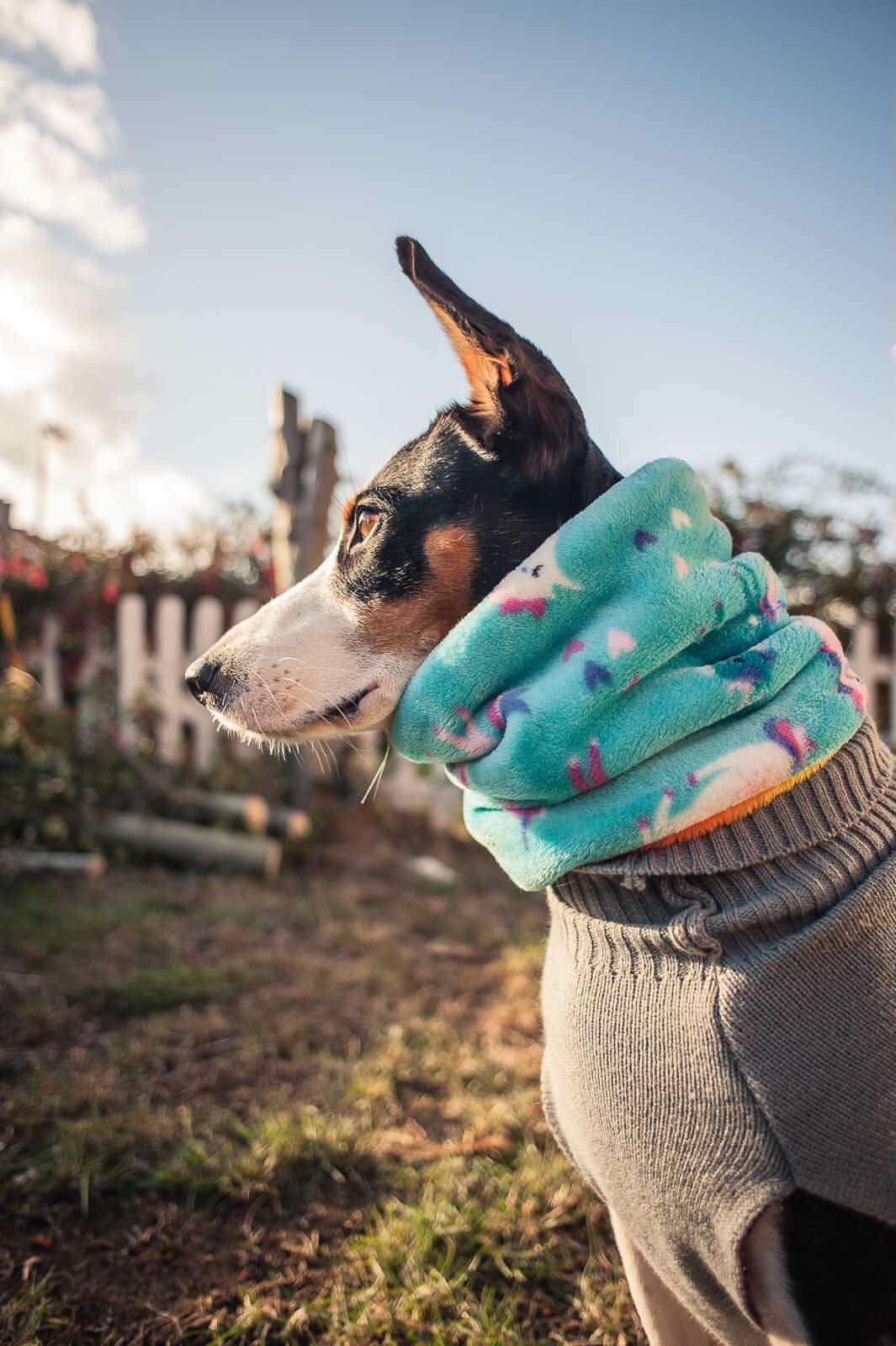 Double-Lined Fleece Dog Snood – Calming Neck Warmer for Anxiety, Fireworks & Agility Dogs
