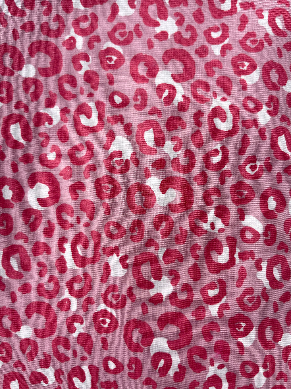 Fabric Dog Collar - All Sorts Collection