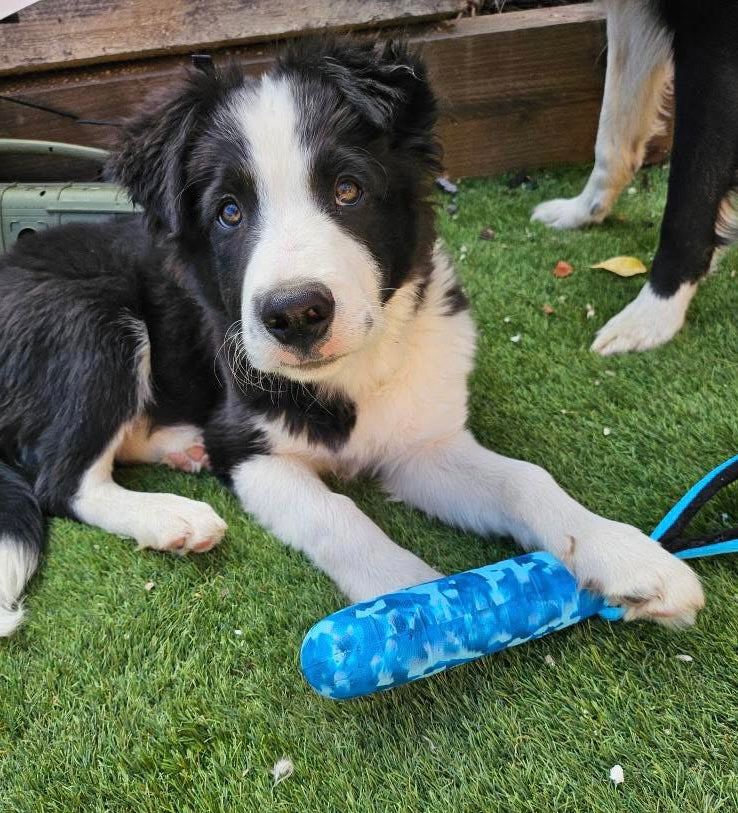 EVA Floating Dog Hamstick – Dog Training Dummy & Fetch Toy