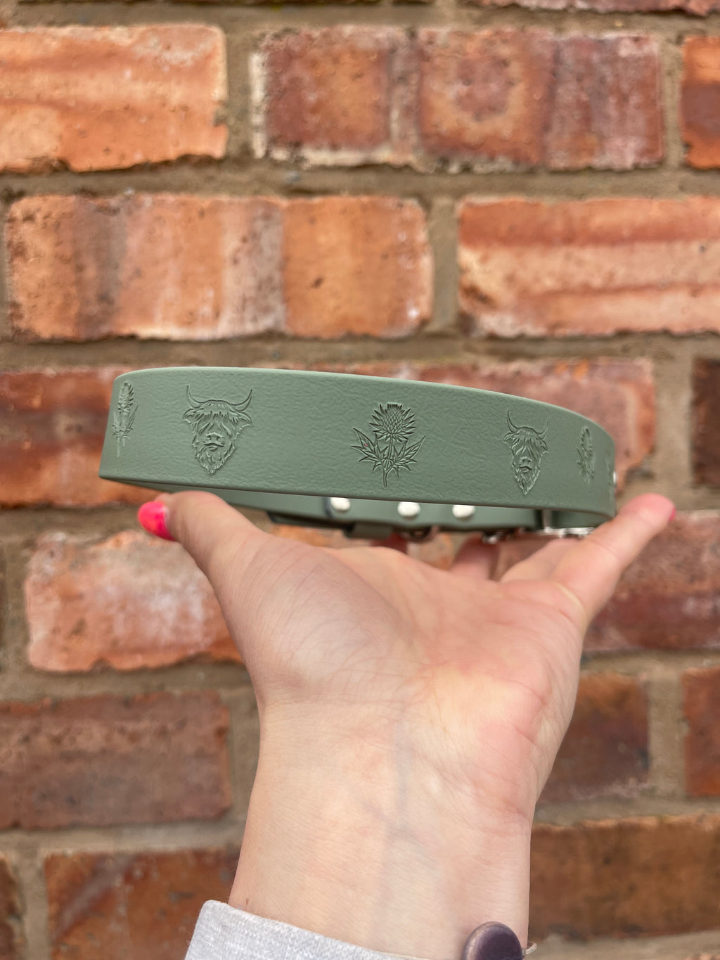 Create Your Own BioThane Stamped Collar
