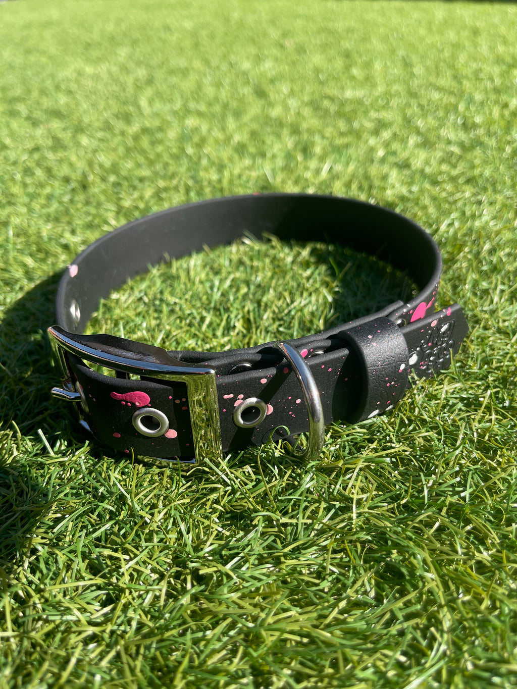 Create Your Own BioThane Collar