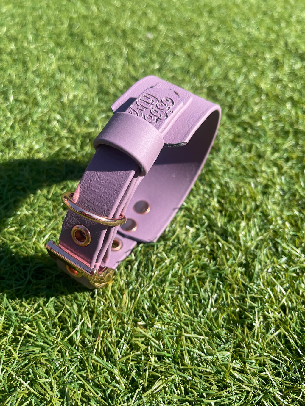 Create Your Own BioThane Collar
