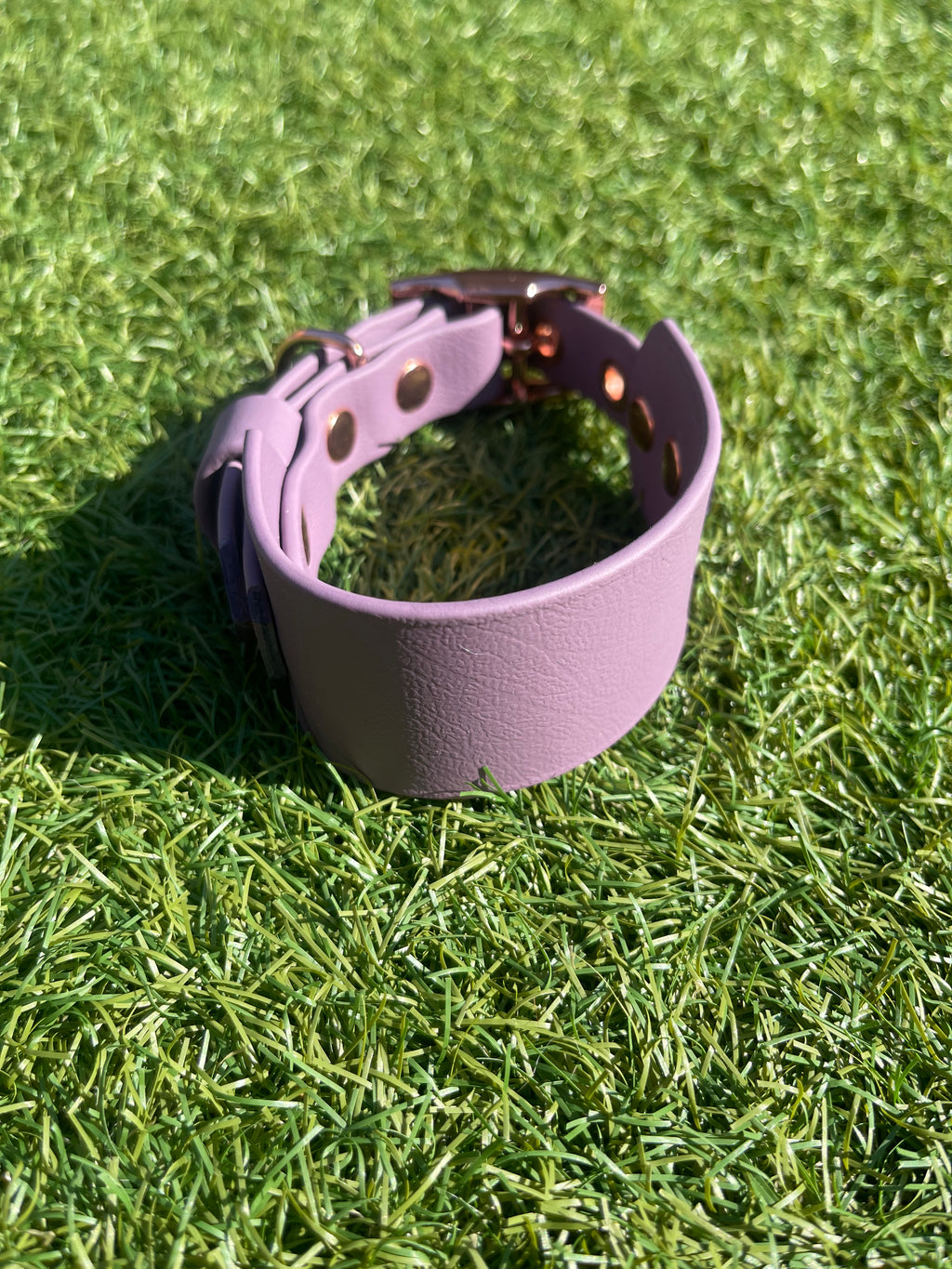 Create Your Own BioThane Collar