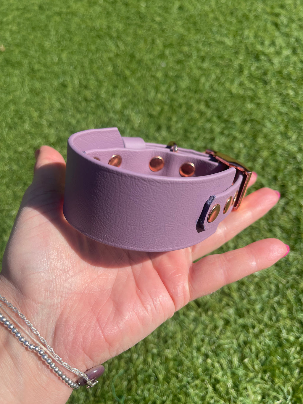 Create Your Own BioThane Collar