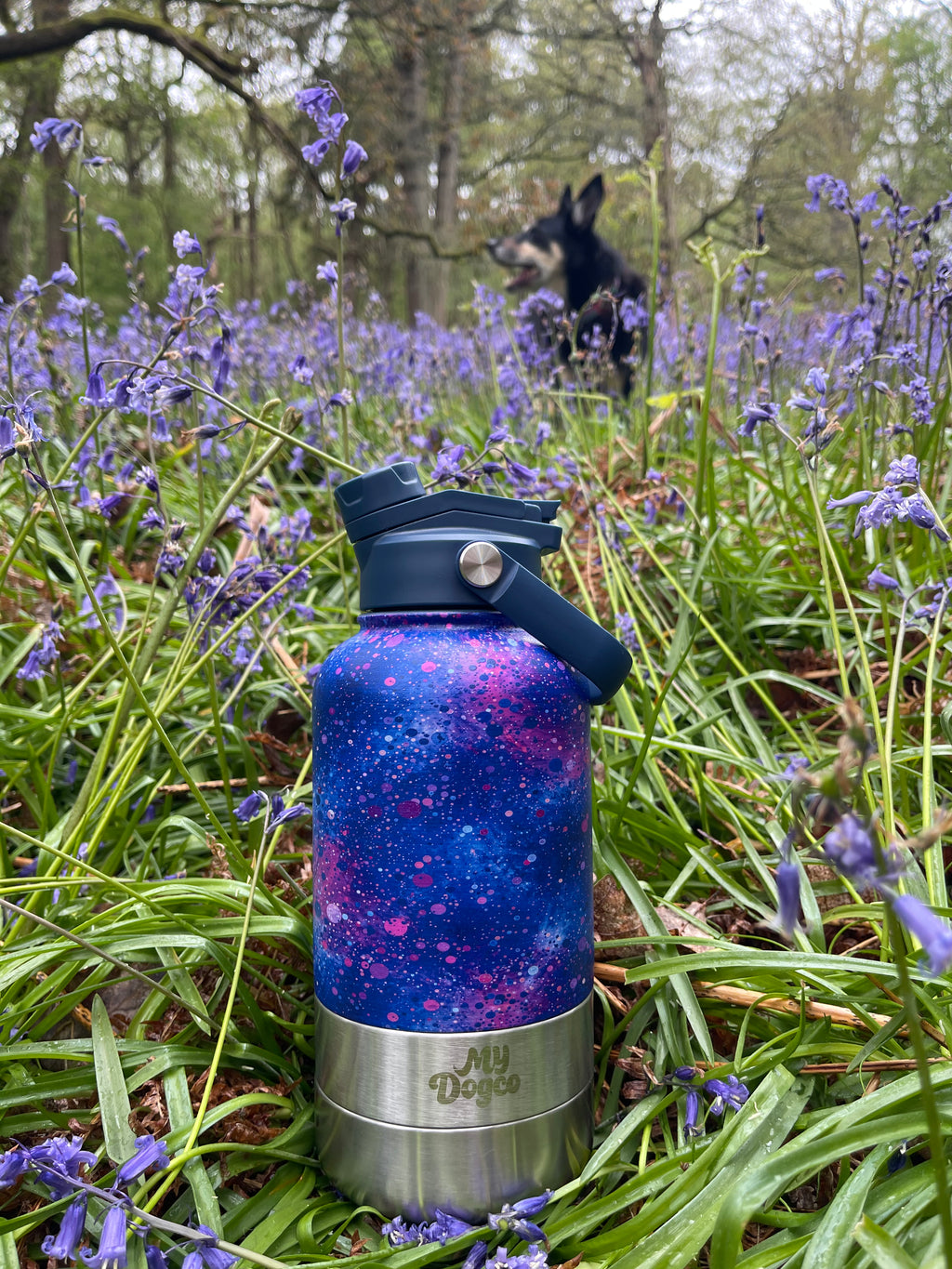 3 in 1 Stainless Steel Waterbottle