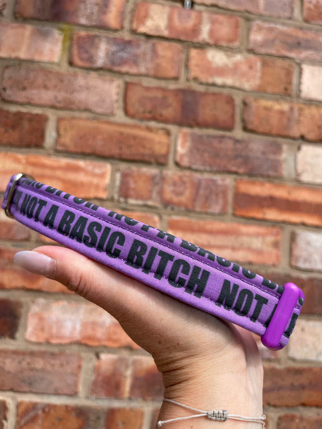 Fabric Dog Collar - Collars With Attitude Collection