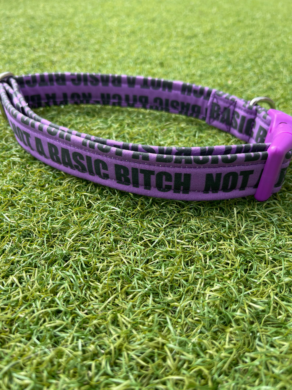 Fabric Dog Collar - Collars With Attitude Collection
