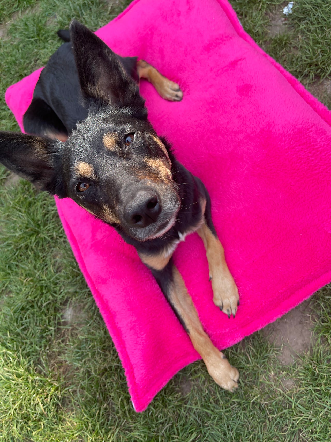 Doggy Duvet Cover - Plain Cuddle Fleece